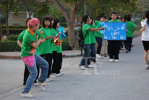 DSC_0118 - Copy (2).JPG